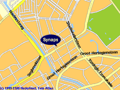kaart omgeving synaps